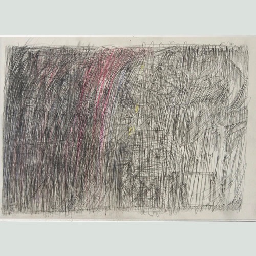 `jardin aux framboises', graphite and colorpencil on paper, 50 x 70 cm, 2013